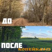 Расчистка территорий от деревьев и пней от 1 Га фото3