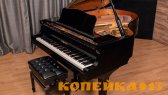 милый и милый рояль Yamaha C3 фото0