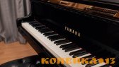 милый и милый рояль Yamaha C3 фото2